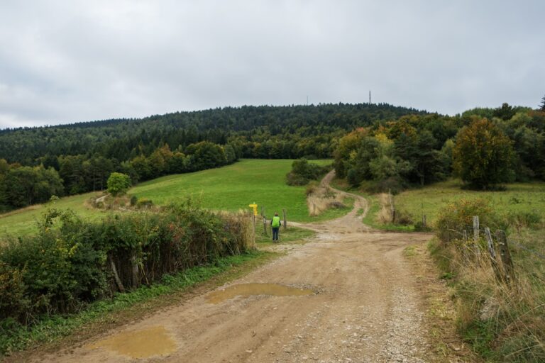 Szlaki rowerowe Radomia - przewodnik po trasach i ciekawostkach dla miłośników dwóch kółek