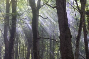 Co robić w Radomiu z dziećmi? Atrakcje dla całej rodziny