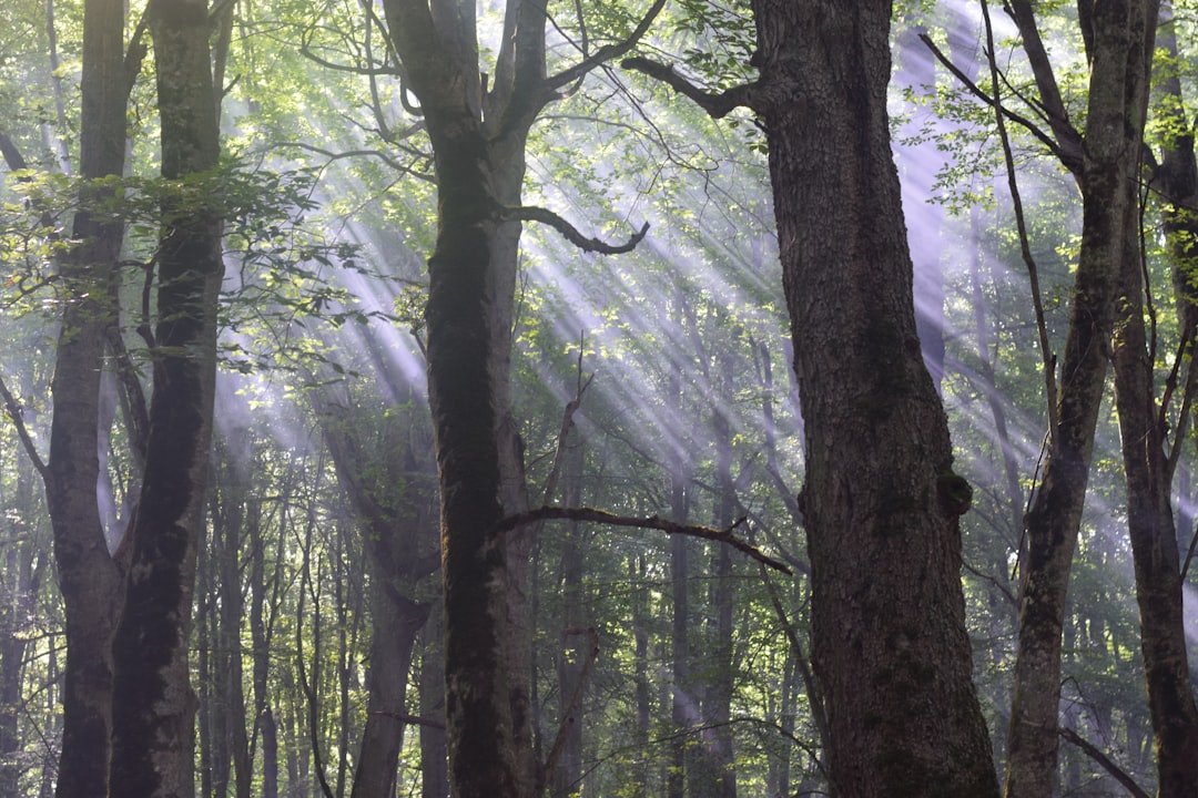 Co robić w Radomiu z dziećmi? Atrakcje dla całej rodziny