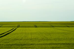 Przewodnik po ciekawych miejscach w Bartodziejach i okolicach