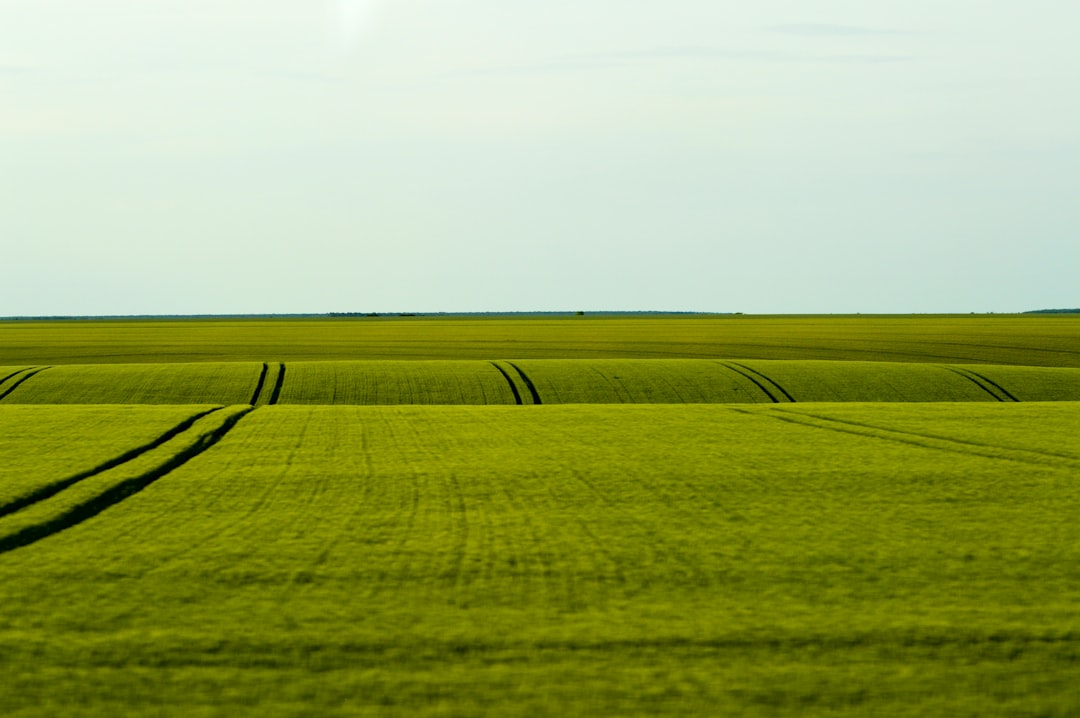 Przewodnik po ciekawych miejscach w Bartodziejach i okolicach