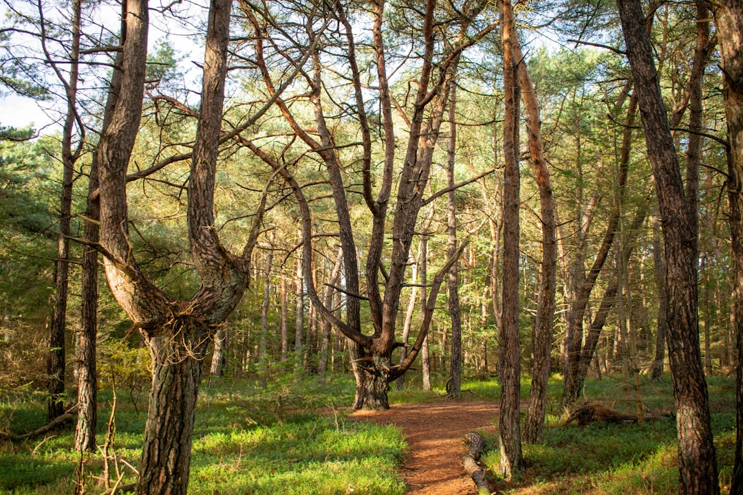Turystyczna mapa Radomia - ciekawe miejsca do zwiedzania w Bartodziejach