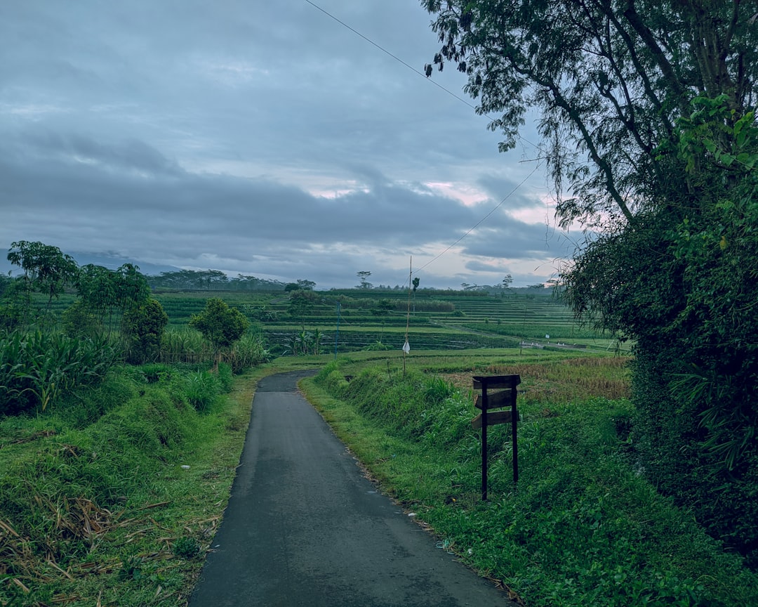 Tajemnice dawnych lat - opowieści z życia wsi w Bartodziejach