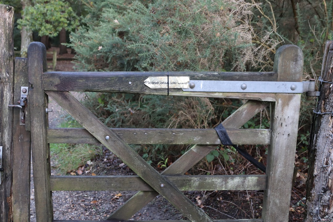 Zaginione miejsca w historii Radomia - przewodnik dla poszukiwaczy tajemnic